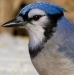 Image de NatVintage80