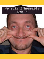 Image de Mip