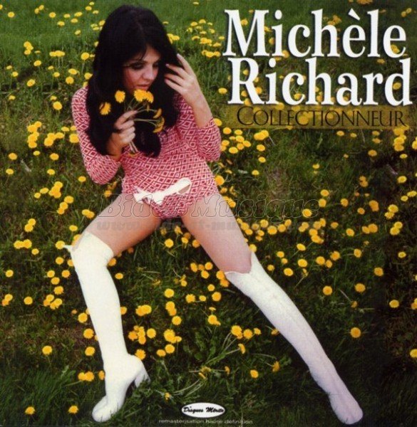 Michèle Richard - bidoiseaux, Les