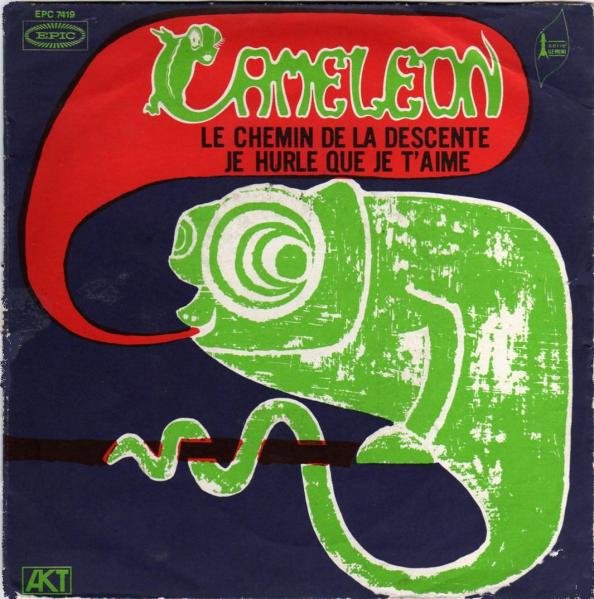 Caméléon - Le chemin de la descente
