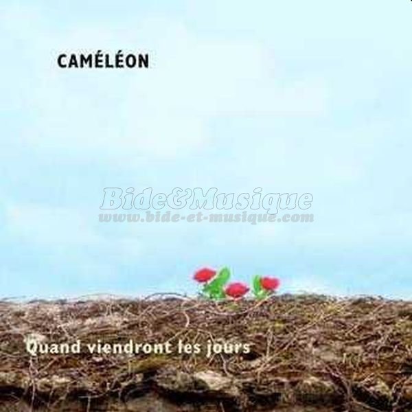 Caméléon - Chançonnerie