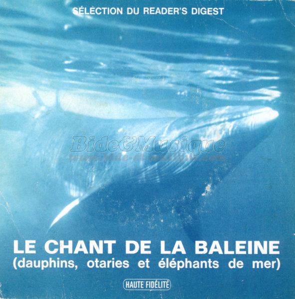 chant de la baleine, Le - bides parlés, Les