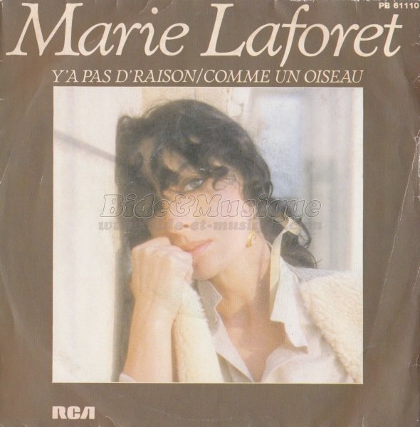 Marie Laforêt - bidoiseaux, Les