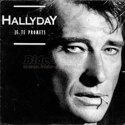 Johnny Hallyday - Ah ! Les parodies (VO / Version parodique)