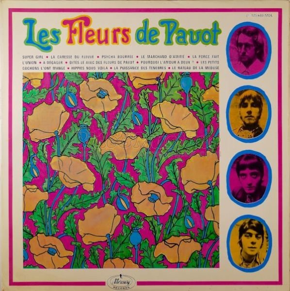 fleurs de pavot, Les - drogue c'est du Bide, La