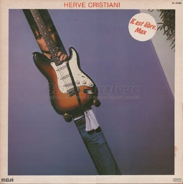 Hervé Cristiani - Les saumons