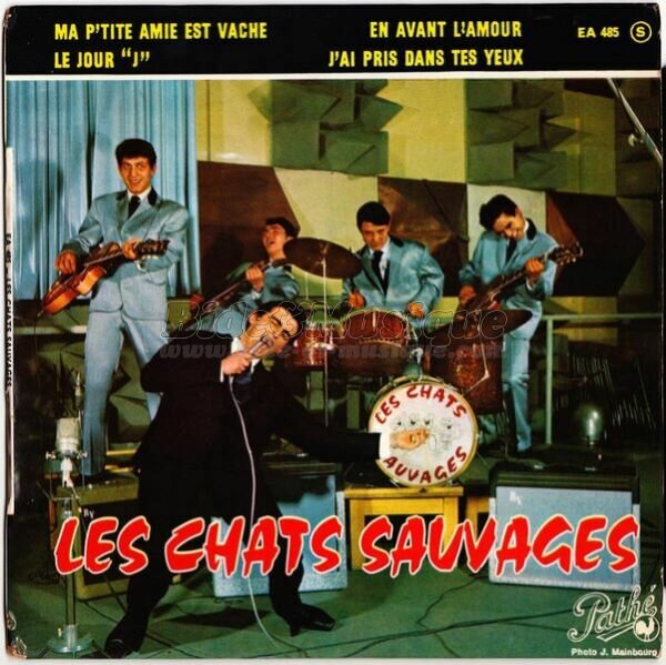 Les Chats Sauvages - Ma p'tite amie est vache