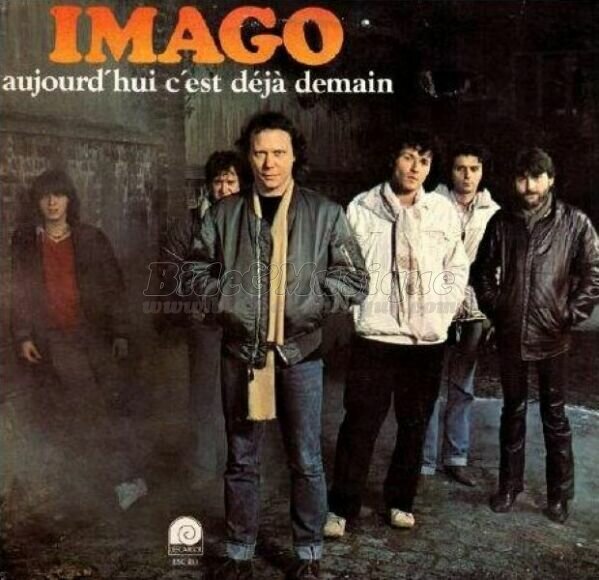Imago - Ecolobide