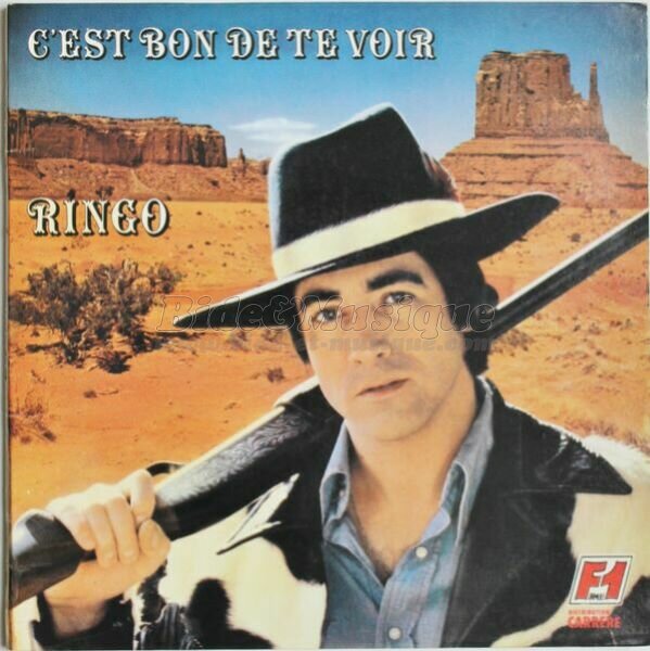 Ringo - Bidomnibus, Le