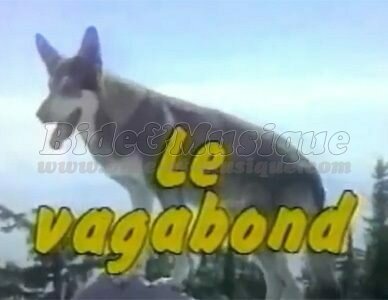 Gilles Rivard - Le Top de l'année 2025