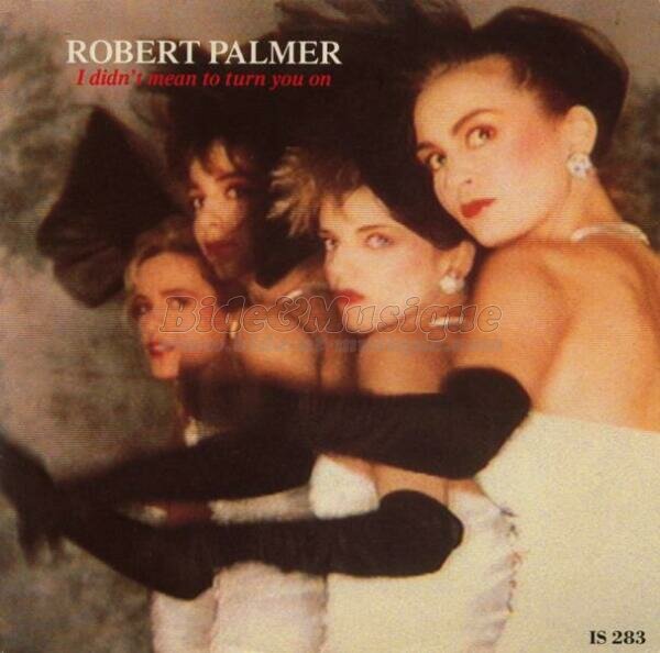 Robert Palmer - I didn't mean to turn you on