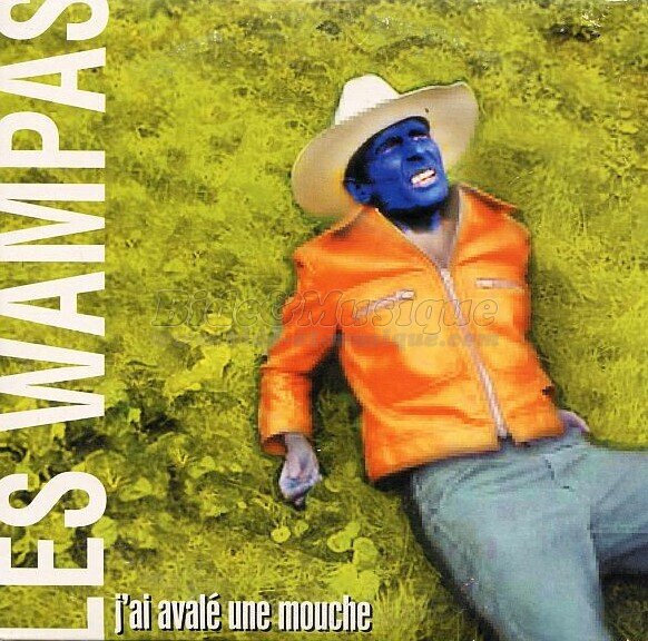 Les Wampas - Patrick Juvet