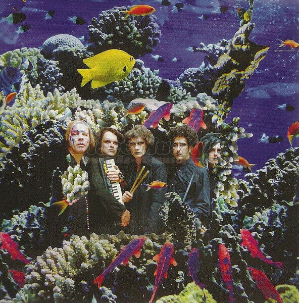 Katerine & Francis et ses Peintres - Salut à toi