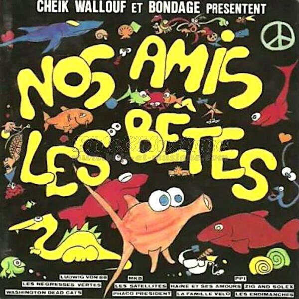 Satellites, Les - Bidjellaba