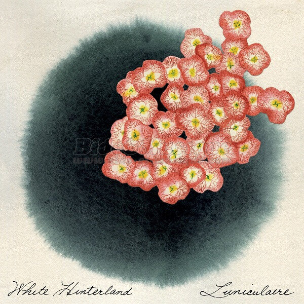 White Hinterland - Gainsbide