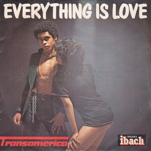 Transamerica - Bidisco Fever