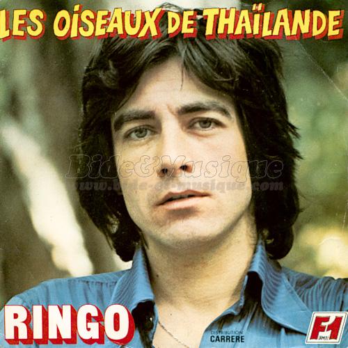 Ringo - Les oiseaux de Thaïlande