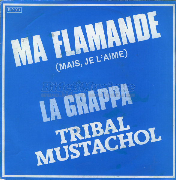 Tribal Mustachol - Ma flamande (Mais, je l'aime)