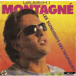 Gilbert Montagné - Les sunlights des tropiques
