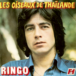 Ringo - Les oiseaux de Tha�lande