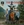 Vignette de The Animals - It's my life