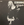 Vignette de Scorpions - Dark Lady