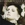 Vignette de Diane Dufresne - Les dessous chics