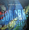 Vignette de Prefab Sprout - Looking for Atlantis