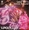 Vignette de Supertramp - Land Ho