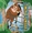 Vignette de Peter Pan - A la file indienne
