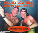 Pochette de Charlie Lownoise & Mental Theo - Wonderfull Days