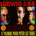 Pochette de Ludwig Von 88 - L'amour à la plage