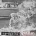 Pochette de Stéphane Saint Louis - Rage Against Normand L'Amour