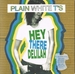 Pochette de Plain White T's - Hey there Delilah