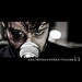 Vignette de Leo Moracchioli - Cotton Eye Joe