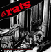 Vignette de Les Rats - Paris s'éveille